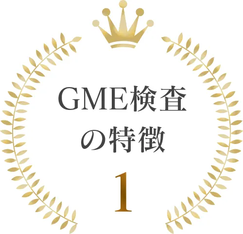 GME検査の特徴1