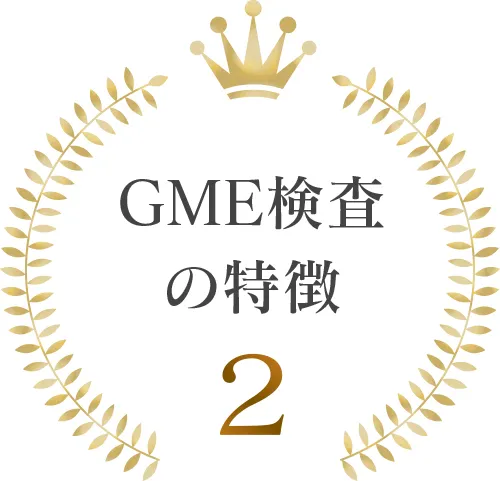 GME検査の特徴2