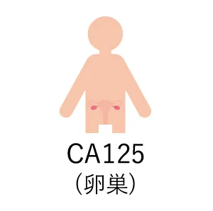 CA125卵巣がん
