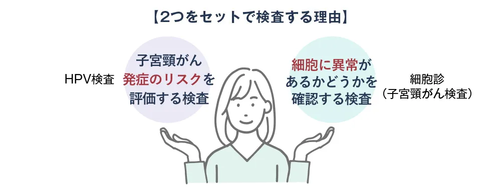 【2つをセットで検査する理由】膣擦過物（HPV検査）、子宮頸がん発症のリスクを評価する検査。細胞診（子宮頸がん検査）、細胞に異常があるかどうかを確認する検査。