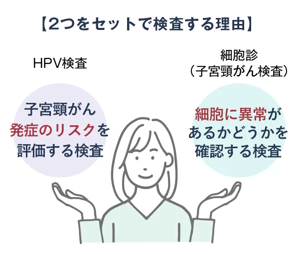 【2つをセットで検査する理由】膣擦過物（HPV検査）、子宮頸がん発症のリスクを評価する検査。細胞診（子宮頸がん検査）、細胞に異常があるかどうかを確認する検査。